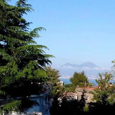 Le Rondini * Neapol